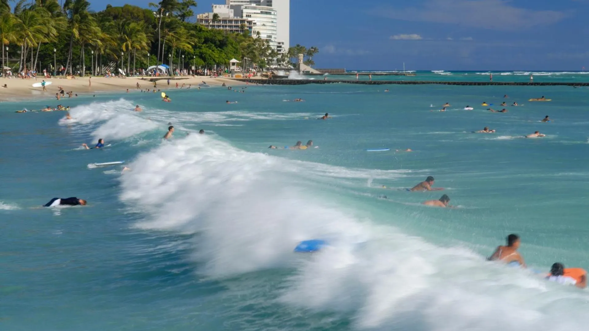 Newly Renovated Studio With Rooftop Pool & Near Waikiki Beach! Honolulu Estados Unidos da América